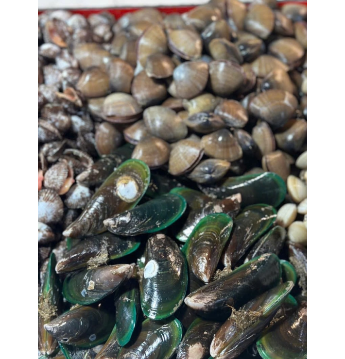 Vẹm