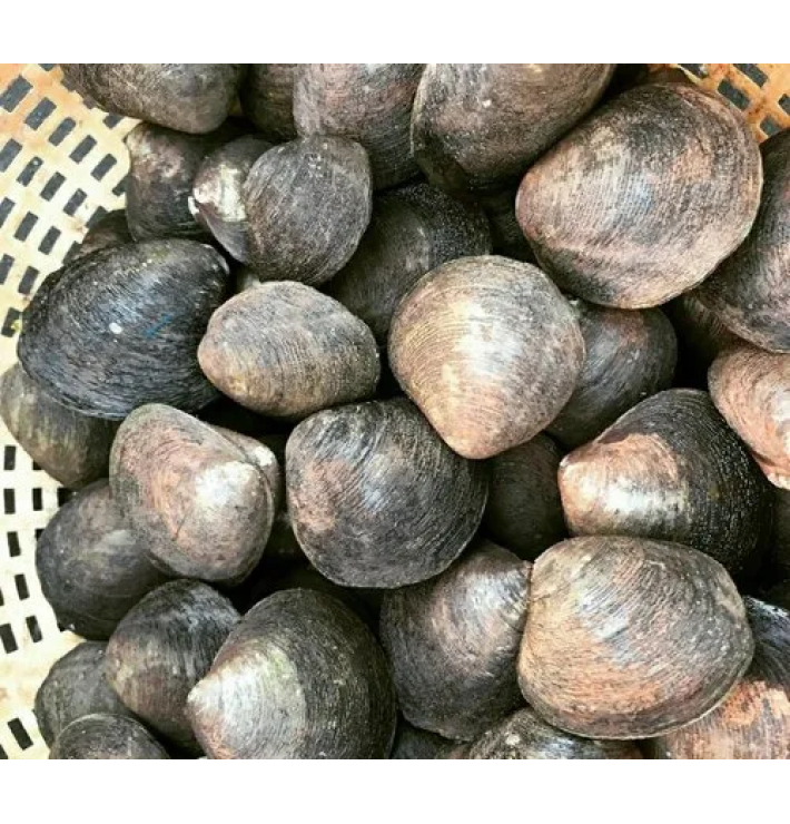 Vọp Sông 